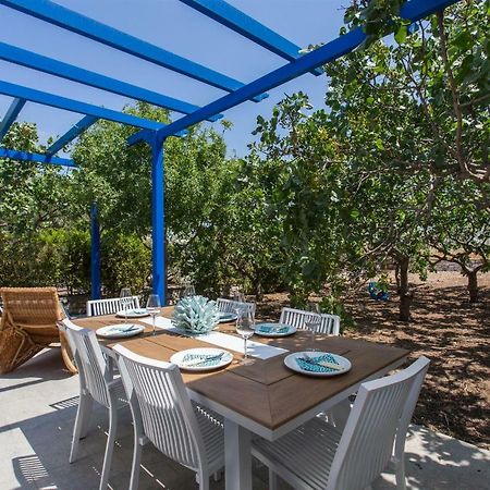 Aneli Luxury Villas-Villa Aegina 外观 照片