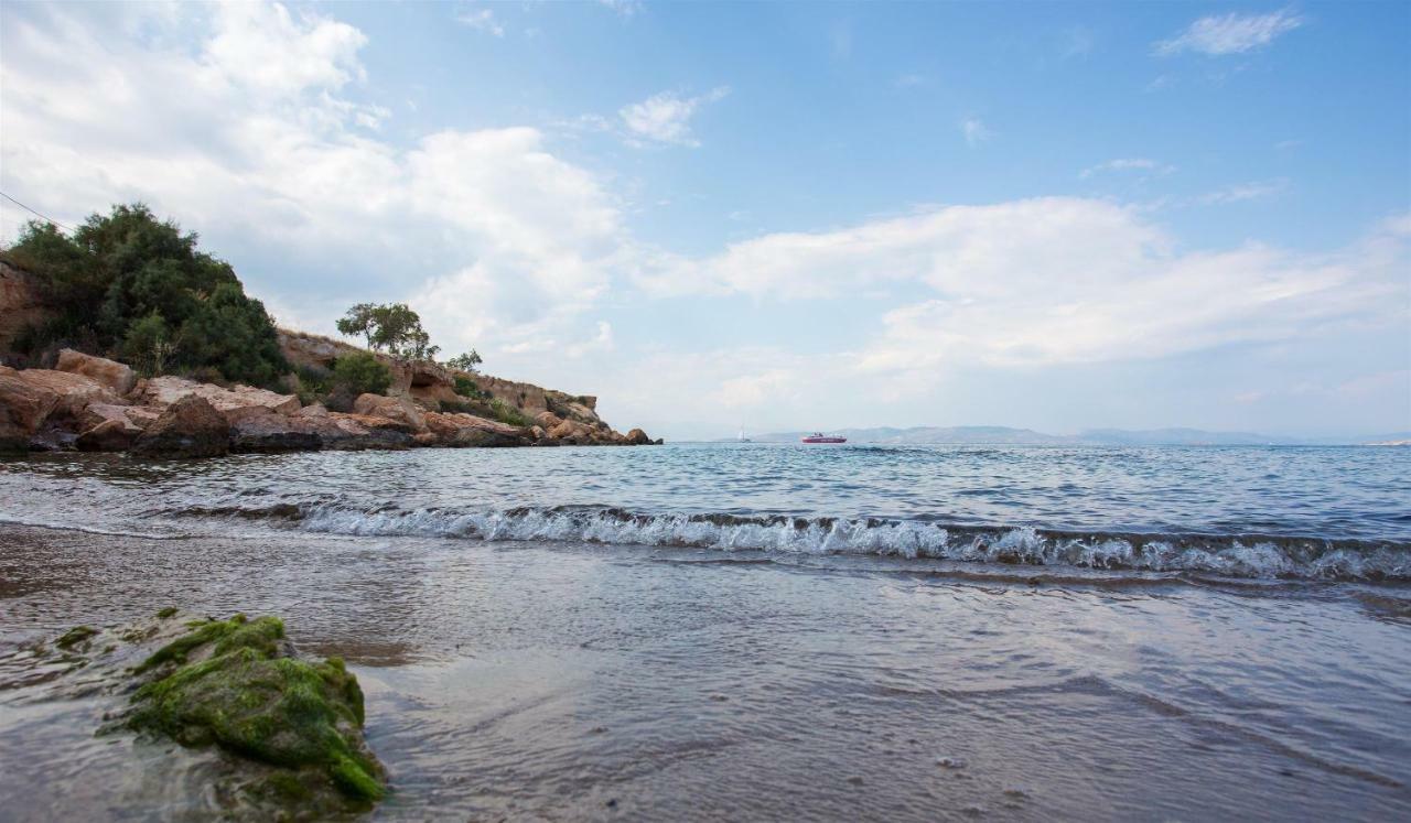 Aneli Luxury Villas-Villa Aegina 外观 照片